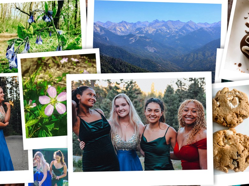 Some Musings on Coronavirus + Prom Photos in a National Park